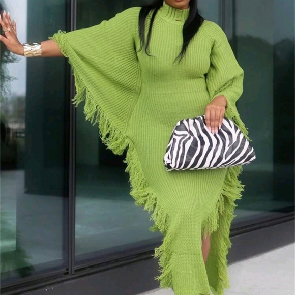 Stylish Fringe Trim Batwing Sweater Dress For Women - Long Sleeve, High Neck - Picture 1 of 6